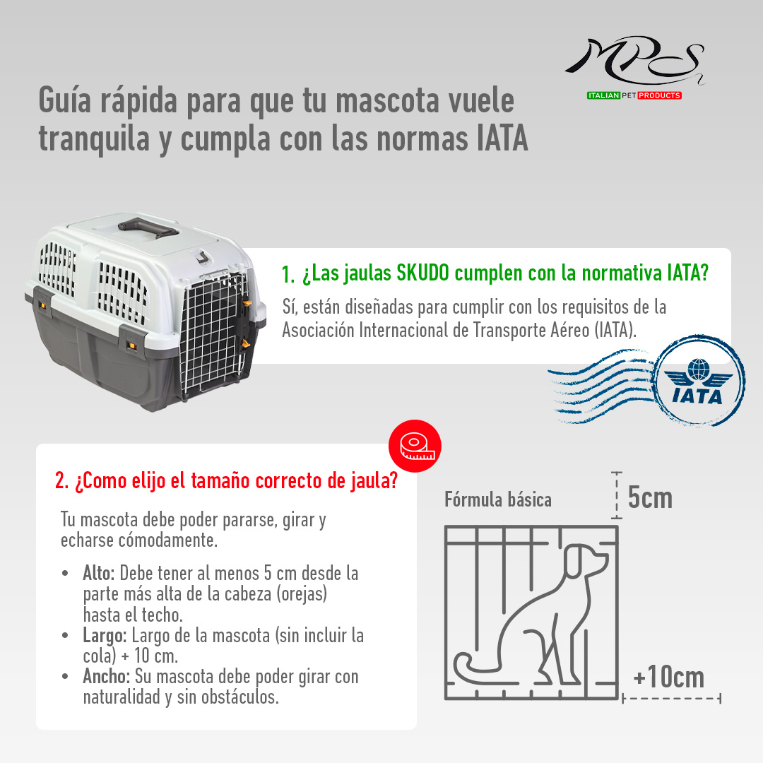 IATA requisitos