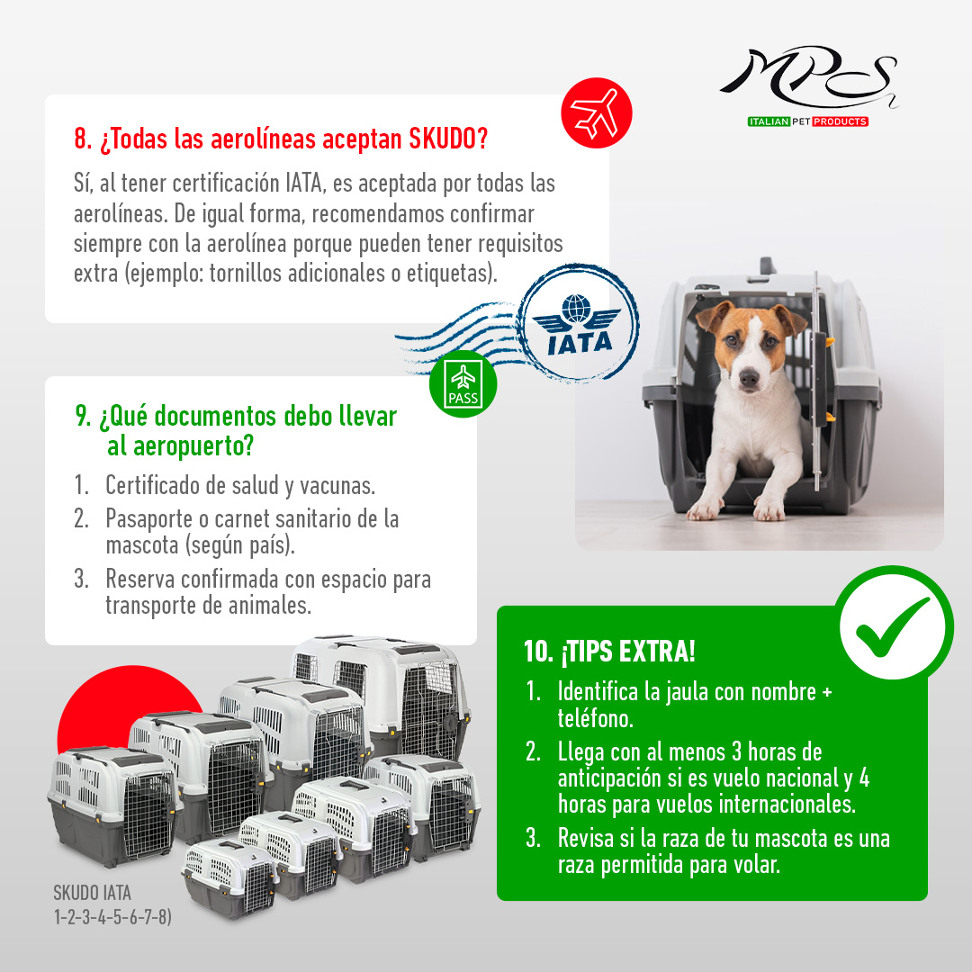 IATA requisitos